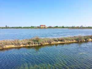 La laguna veneziana a Lio Piccolo