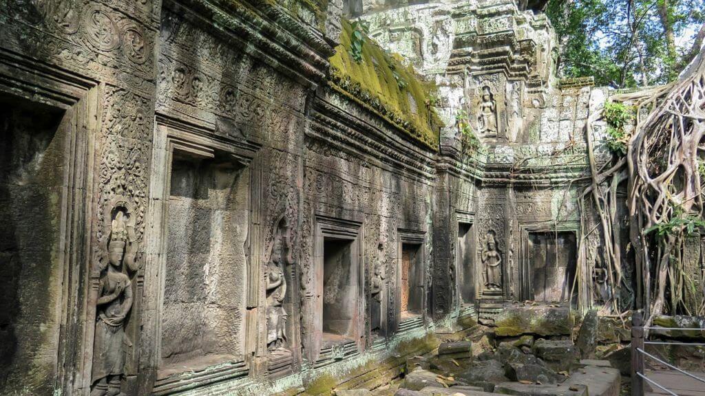 Giungla e rovine di Angkor