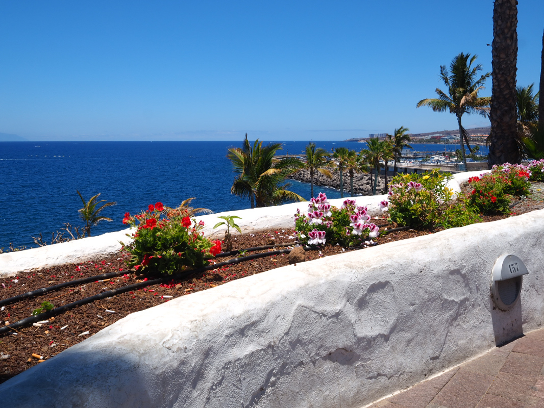 Dove andare in spiaggia a Tenerife: El Médano